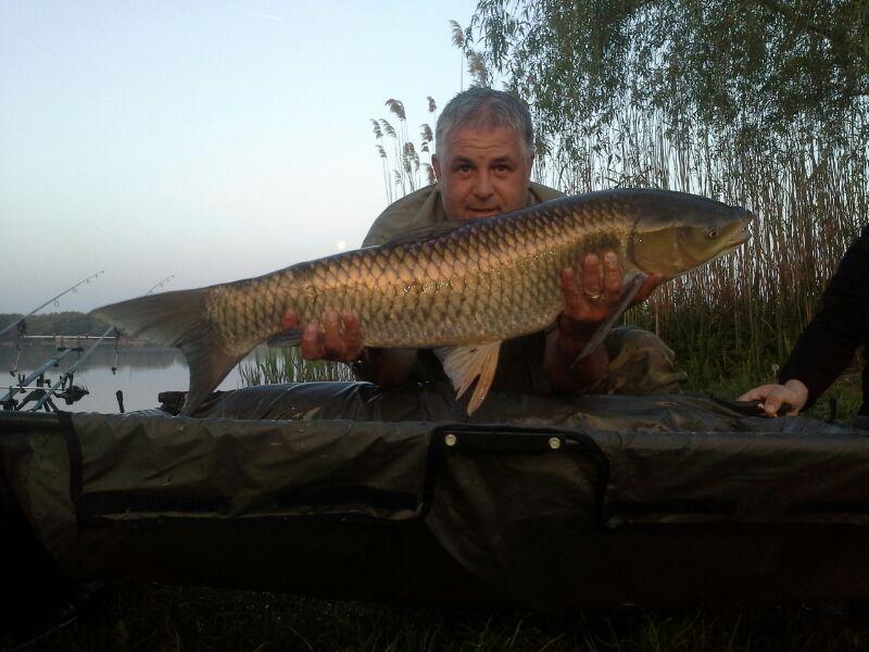 Pescuit - Tancabesti 1 Stand Corcodus